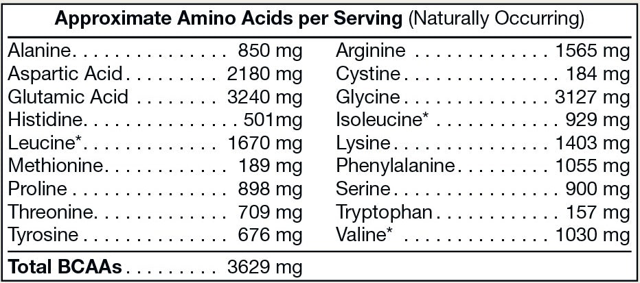 Pure Plant Protein - Chocolate - Elite Water bottles