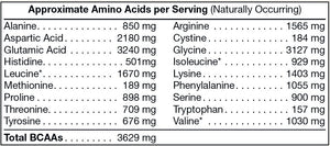 Pure Plant Protein - Chocolate - Elite Water bottles